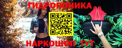 ГАЛЛЮЦИНОГЕННЫЕ ГРИБЫ Кингисепп