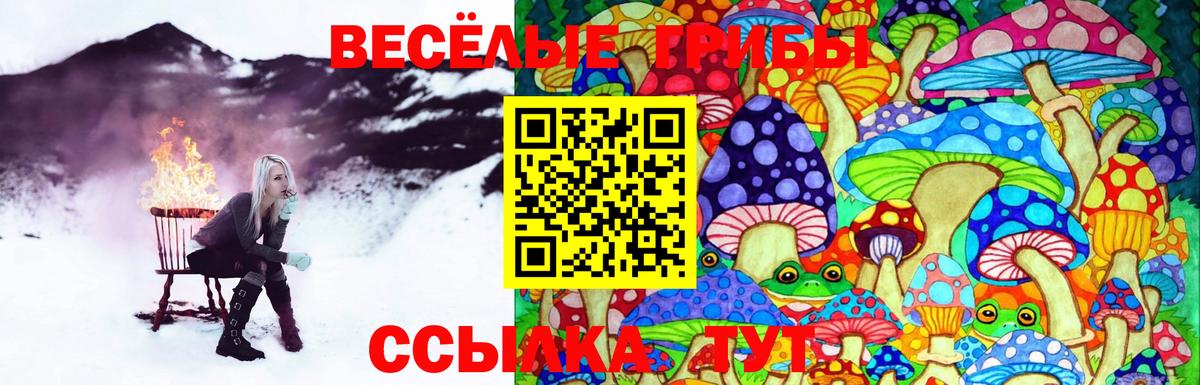 Кемерово  Псилоцибиновые грибы MAGIC MUSHROOMS  где можно купить наркотик  Псилоцибиновые грибы MAGIC MUSHROOMS  Вход с VPN 